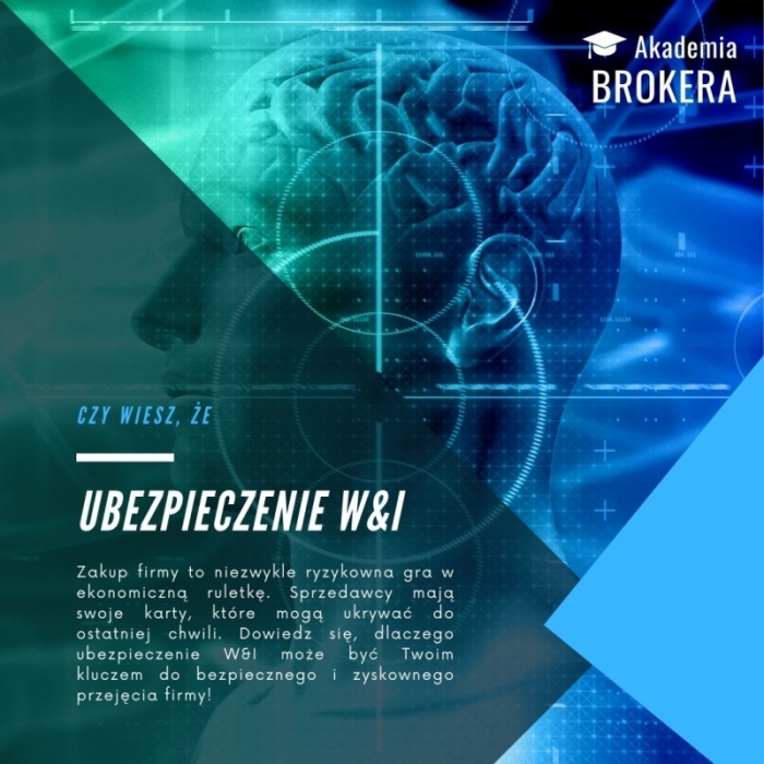 Ubezpieczenie W&amp;I